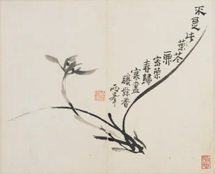 Landskap, blomster og fugler: orkidé, Qing-dynastiet, 1780